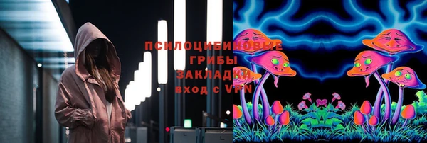 прущий лед Белокуриха