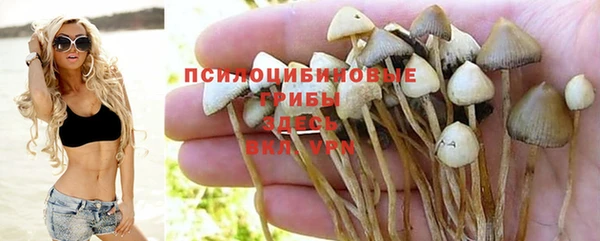 прущий лед Белокуриха