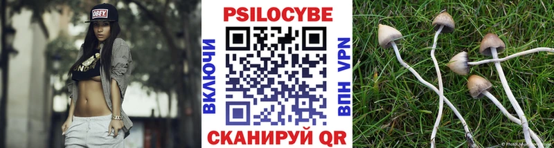 Псилоцибиновые грибы Psilocybe  Мытищи 